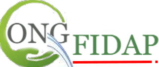 FIDAP INTERNATIONAL